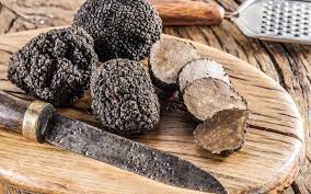 Mushroom & Truffle